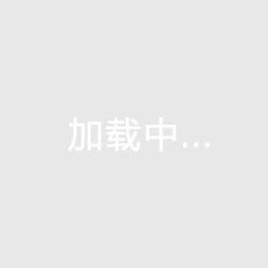 华盛顿神秘人vs拉斯维加斯